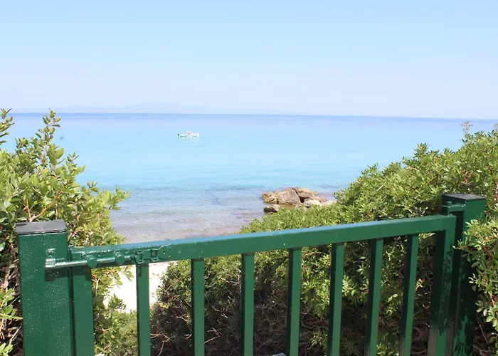 Nael By The Sea