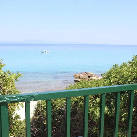 Nael By The Sea